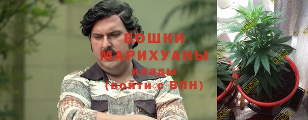 молекула духа Алзамай