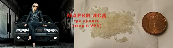 прущие грибы Алексин