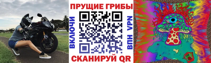 Галлюциногенные грибы Psilocybe Богучар