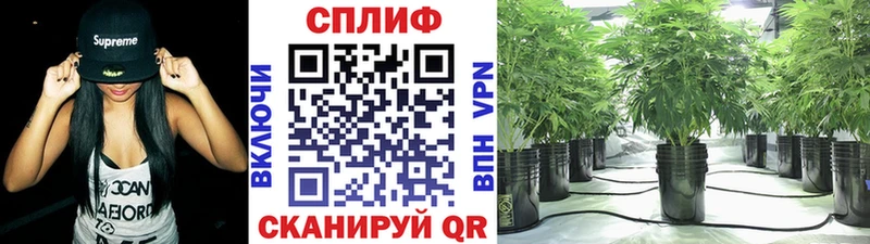 блэк спрут маркетплейс  Богучар  Канабис марихуана 